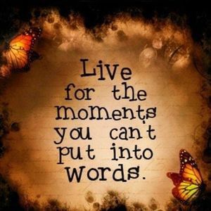 Meet your Posher, Meredith